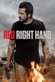 Red Right Hand imdb puanı